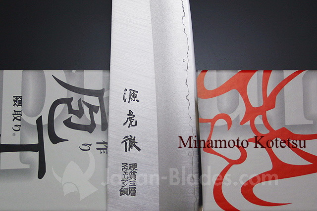 Minamoto Kotetsu